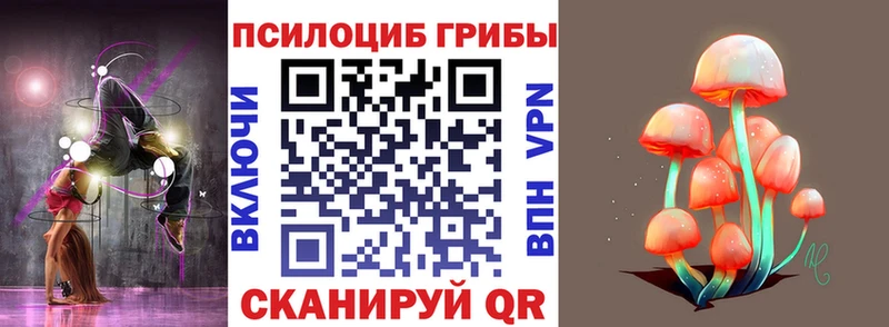Псилоцибиновые грибы мицелий  Тогучин 