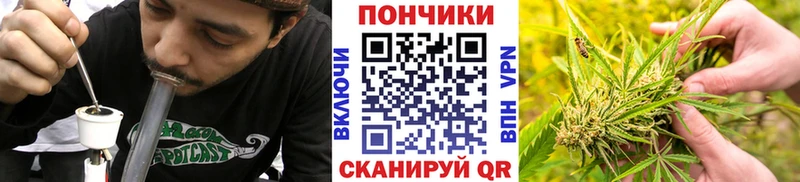 Бошки Шишки SATIVA & INDICA  гидра маркетплейс  Тогучин 